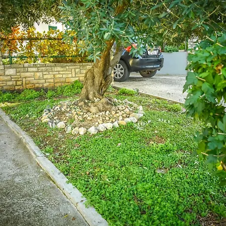 דירה Jasmine *