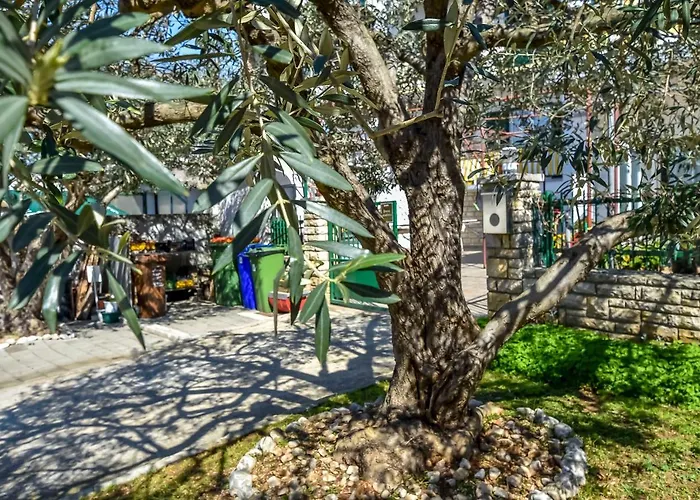 Jasmine Apartman Biograd na Moru